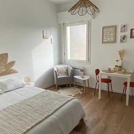 Apartman Cozy Elegant In Heart Of Center Cholet